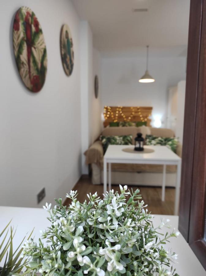 Loft Tulipanes Amarillos Junto A La Mezquita Apartment Cordoba Luaran gambar